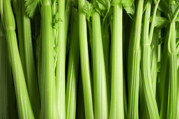 Many fresh green celery bunches as background, top view