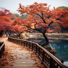 Colorful autumn walk around the park landscape street photo