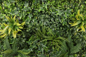 Green artificial plants as background, top view