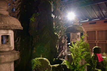【大阪】本善寺界隈（夜景）