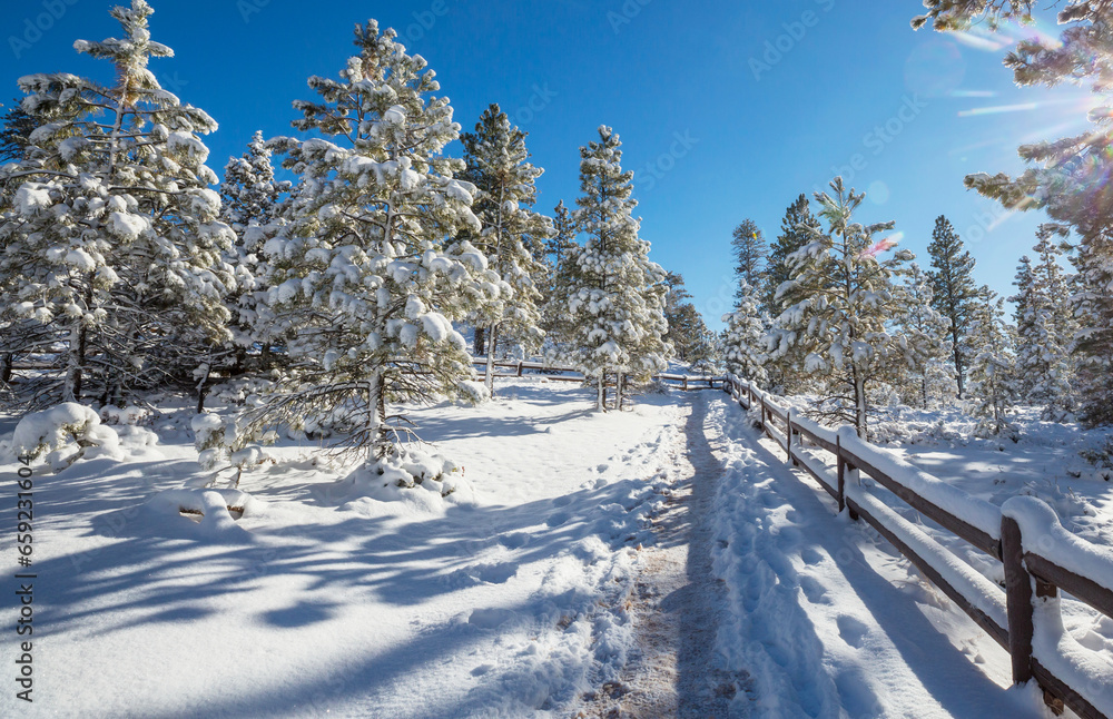 Sticker winter forest