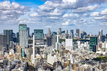 Fototapeta na wymiar 青空と雲と東京のビル群