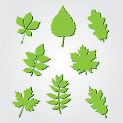 Collection of leaves design vector. Set of nature leaf design vector