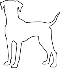 black line Dog Silhouette. No open shape or path. Dog breed, veterinary, dog walking, pet sitting logo inspiration. Dog show, competition, pet store, guide dog isolated on transparent background.