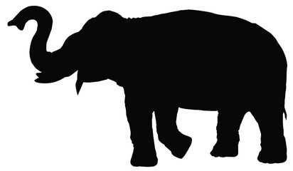 elephant silhouette