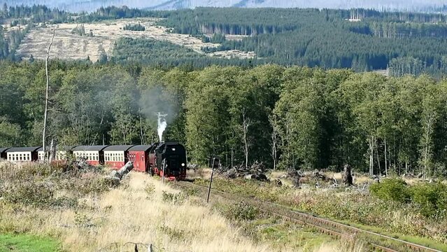 Harz narrow gauge railway, Brockenbahn, steam locomotive travelling through the Harz mountains, Saxony-Anhalt, Germany, Europe