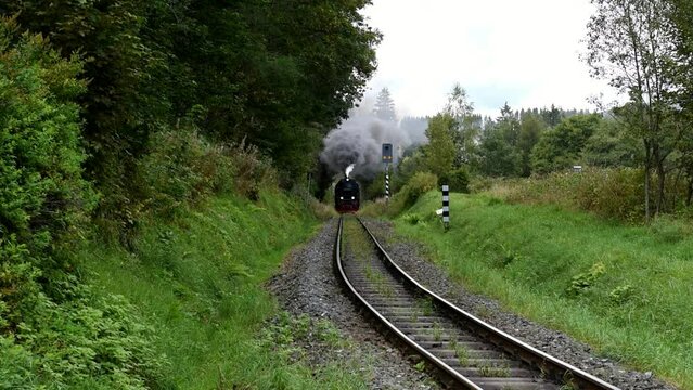 Harz narrow gauge railway, Brockenbahn, steam locomotive travelling through the Harz mountains, Saxony-Anhalt, Germany, Europe