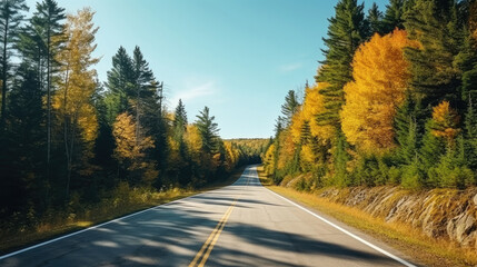 COUNTRY ROAD IN FALL AUTUMN Dramatic, moody scene of rural highway running through beautiful forest landscape. Orange and green foliage colors. Adventure through Canadian territory