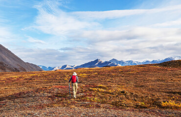 Hike in polar tundra