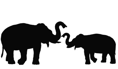 Fototapeta premium elephant silhouette