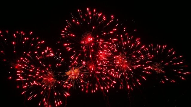 fuegos artificales de celebracion 