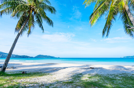 Tropical beach with coconut palm trees, Beautiful sandy beach and sea in sunny day,Blue sky in good weather day, Beach sea space area nature background