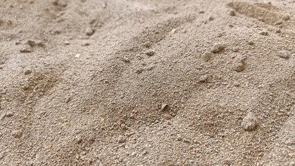 Dark Brown Sand Texture Sieved for Plant Seed Growing Medium
