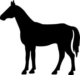 Black flat silhouette of a rearing horse. Prancing stallion pricked up its ears. Vector design element for equestrian goods isolated on transparent background.