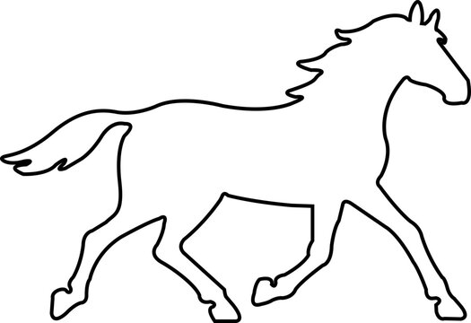 Black line silhouette of a rearing horse. Prancing stallion pricked up its ears with editable stock. Vector design element for equestrian goods isolated on transparent background.