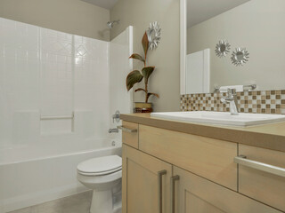 Modern residential bathroom interior