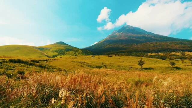 すすきが風にゆれる秋の山　大分県　由布岳