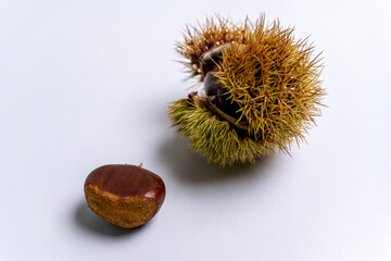 Chestnuts, shell and fruit, isolated, white background