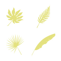 Exotic Palm Leaves In Different Type. Vector Illustration.