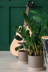 Green houseplant and guitar in living room
