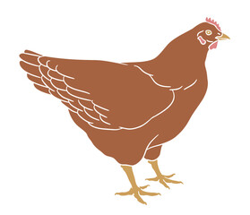 Standing brown chicken on white