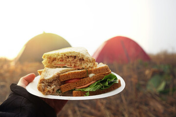 Ham Cheese Sandwich on natural background