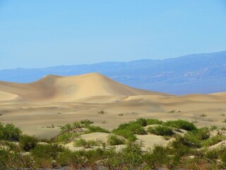 Fototapeta premium Sand Dunes in Death Valley National Park, California