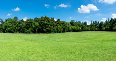 Scenic view of trees on Green grassland against sky
