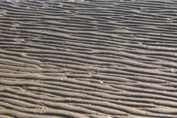 Sand ripples form a naturally abstract and textured background pattern on a beach at low tide