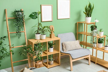 Grey armchair and wooden shelving units with houseplants in interior of modern living room