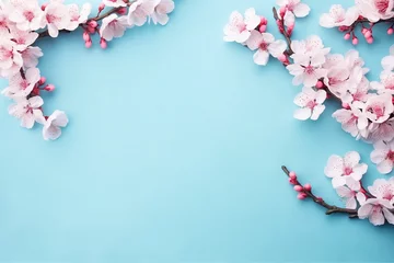 Foto auf Alu-Dibond Sakura blossom flowers and may floral nature on blue background. For banner, branches of blossoming cherry against background. Dreamy romantic image, landscape panorama, copy space. generative ai. © SEUNGJIN