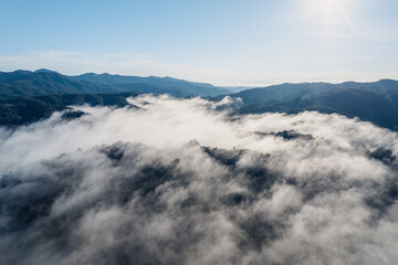 Fog and mountains in the morning forest
