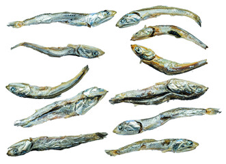 dried anchovies on transparent png