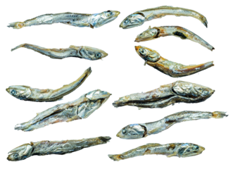dried anchovies on transparent png