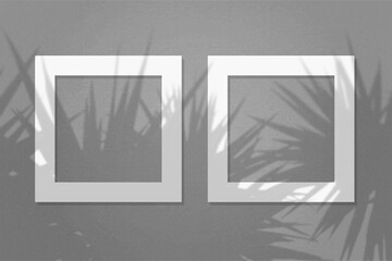Natural light casts shadows from the leaves of a palm tree on 2 square frames of white textured paper lying on a grey facture background. Mock up with an overlay of plant shadows