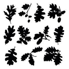 Oak leaves with acorns silhouette stencil templates set