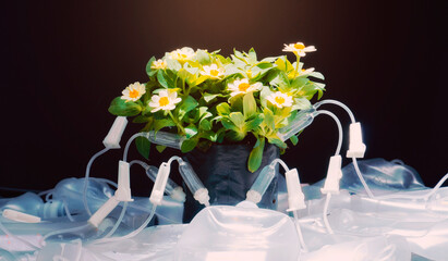 IV drip, Intravenous therapy injection to flower pot. concept of resuscitation and environmental.