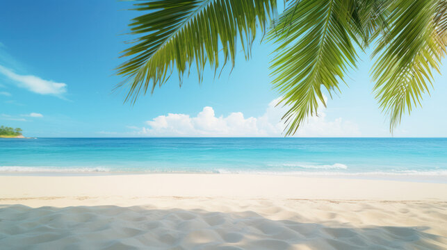 beach with palm trees, clean beach with white sand, travel concept, vacation concept