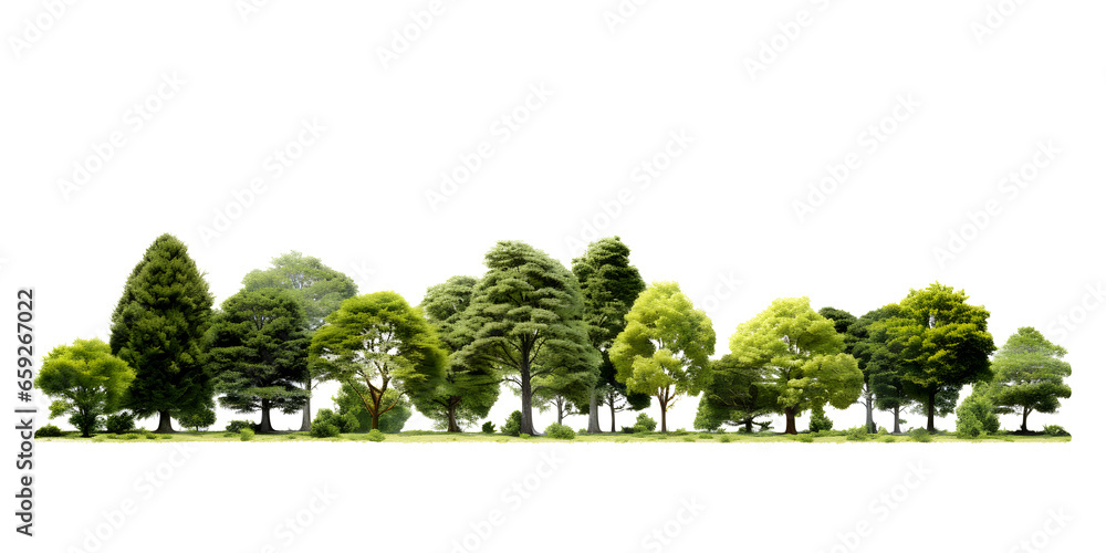 Poster green trees in the forest and foliage in summer. row of trees and shrubs. isolated on white and tran