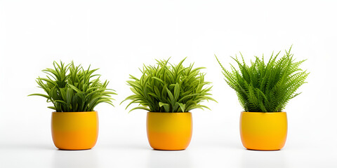 Artificial Green Grass in Ceramic Pots Faux Greenery in Ceramic Planters
