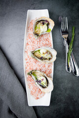 fresh oysters on red sea salt on a white plate top view