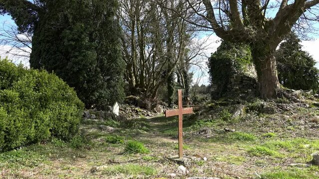 Old Irish famine cemetery in Waterford Ireland with ruins of ancient church early spring