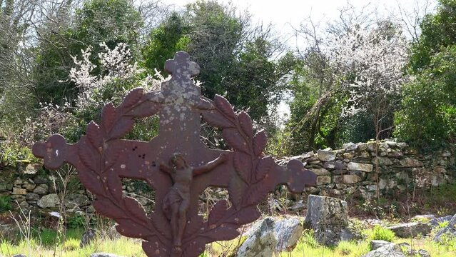 Old Irish Famine cemetery metal cross in the middle of an old ruined church on a warm spring afternoon