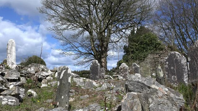 Old Irish Famine graveyard ruined church and ancient headstones on a spring day