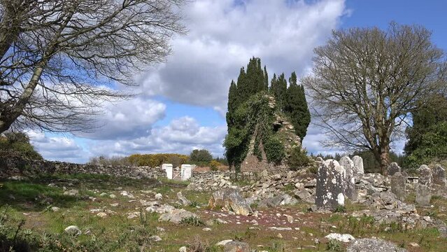 Old Irish famine graveyard in Waterford Ireland ancient church and old headstones on a spring morning