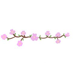 pink cherry blossom isolated