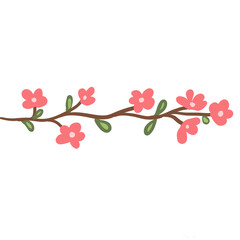 branch of blossom flower pink red