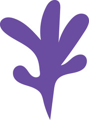 coral hand drawn isolate