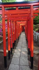 Rolgordijnen 花園稲荷神社鳥居 © 匠 高橋