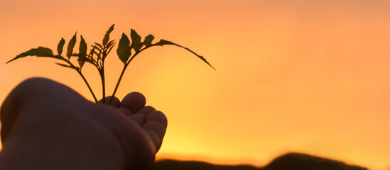 Environmental conservation concept. Hands with trees and circular economy icons. Future environmentally sustainable strategy. Renewable material resources, energy saving. Use of renewable energy